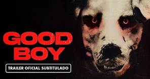 Good Boy (2023) - Tráiler Subtitulado en Español