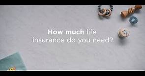 AAA Life Insurance 101: How much life insurance do I need?