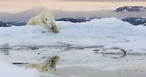 Frozen Planet II | Official Trailer | New Attenborough Series | BBC Studios