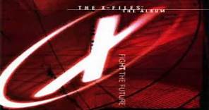 Invisible Sun (Sting and Aswad) - The X-Files Soundtrack