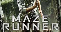 Maze Runner - Il labirinto - guarda streaming online