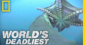 Sea Lion vs. Octopus | World's Deadliest