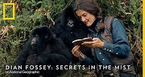 Official Trailer | Dian Fossey: Secrets In The Mist | National Geographic UK