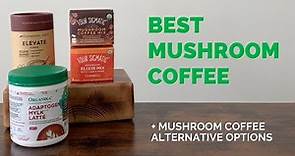 Best Mushroom Coffee + Mushroom Coffee Alternative Options