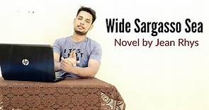 Wide Sargasso Sea : Novel by Jean Rhys in Hindi summary Explanation and full analysis