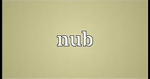 Nub Meaning