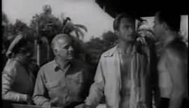 Der Schrecken vom Amazonas (Original US-Trailer - 1954)