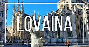 LOVAINA, BÉLGICA: Uno de los lugares más bonitos para visitar cerca de Bruselas!