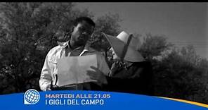 Film: "I gigli del campo", martedì 1 novembre 2016 su Tv2000