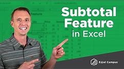 How To Use The Subtotal Feature And Subtotal Function In Excel