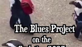 The Blues Project Evolution 2023 Tour | The Blues Project