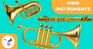 Wind Instruments for Kids - Musical Instruments
