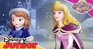 La Princesa Sofía: Momentos Mágicos -Tormenta de nieve | Disney Junior Oficial