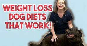 2 DIETS that make dogs lose weight!? | Veterinary approved