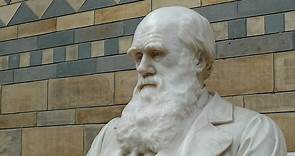 Charles Darwin: "L'origine delle specie"