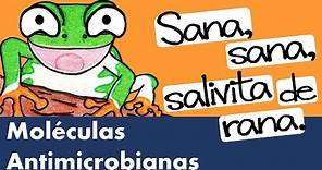 Lisozima, Defensinas, Proteínas de Unión al Hierro | Moléculas Antimicrobianas