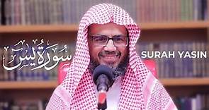 Surah Yasin Sheikh Abu Bakr Al Shatri | Masjid al-Humera شيخ أبوبكر الشاطري سورة يس
