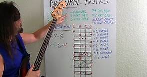 Bass Guitar For Beginners What Bassists Should Know