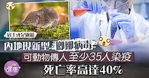 【新病毒】內地現新型「瑯琊病毒」死亡率達40%　可動物傳人至少35人染疫    - 香港經濟日報 - TOPick - 健康 - 健康資訊