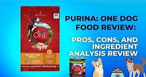 Purina: ONE Dog Food Review: What You Need To Know Before Buying