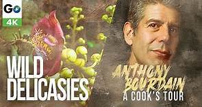 Anthony Bourdain A Cooks Tour Wild Delicacies 1 Episode 5: Wild Delicacies (4K)