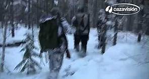 La caza de la marta de los pinos en Suecia