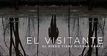 El visitante - Ver la serie online completas en español