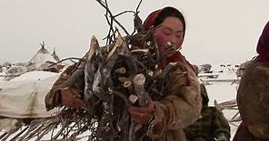 Experiencing Nenet Life On The Frozen Tundra - Tribe With Bruce Parry - BBC