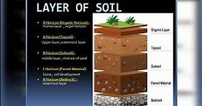 Soil || Unlocking the Secrets of Soil: Functions and Layers Explained