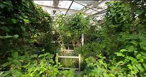 Take a drone tour through Westminster's Butterfly Pavilion!