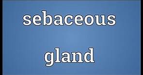 Sebaceous gland Meaning