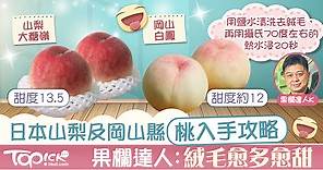 【蜜桃當造】日本蜜桃入手攻略     果欄達人：絨毛愈多愈甜【附洗桃方法】 - 香港經濟日報 - TOPick - 親子 - 休閒消費