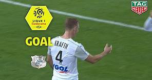 Goal Emil KRAFTH (45' +2) / RC Strasbourg Alsace - Amiens SC (3-1) (RCSA-ASC) / 2018-19