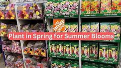 Shop with me at Home Depot Garden Center for SUMMER BULBS
