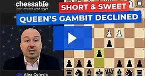 Queen's Gambit Declined explained by GM Alex Colovic