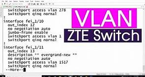 How to configure VLAN on the ZTE Switch | NETVN