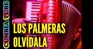 Los Palmeras - Olvídala