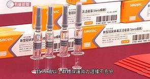 【科興疫苗60歲以上保護效力不足 聶德權﹕會參考專家意見】