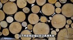 橡胶木和松木哪个好？橡胶木与松木的比较