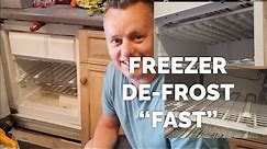 Quickest & Easiest Way To DeFrost A Freezer.