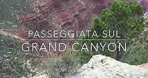 Passeggiata sul Grand Canyon (South Rim)