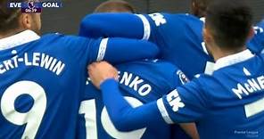 Vitaliy Mykolenko Goal, Everton vs Brighton (1-0) Goals and Extended Highlights