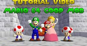 How to Install Super Mario 64 Co-op (Multiplayer Mod)