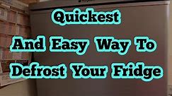 Quick and easy way to defrost Your Fridge freezer