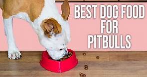 5 Best Dog Food for Pitbulls
