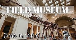 VISITAMOS EL MUSEO DE HISTORIA NATURAL EN CHICAGO ¿VALE LA PENA? | FIELD MUSUEM