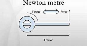 Newton metre