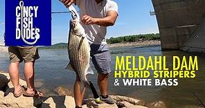 Fishing the MELDAHL DAM | Ohio River