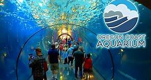 Oregon Coast Aquarium Walkthrough Tour | Sharks, Sea Lions, Touch Tanks & More!