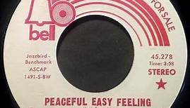 Dave Ellingson - Peaceful Easy Feeling